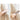 2-1 Reusable Pet Hair Remover Brush Lint Roller Portable Effective Self Cleaning Tool for Cat Dog Fur Hair Dust Removal Brush