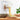 220V/ 110V Electric Automatic Noodle Maker Machine Multifunction Pasta Maker Dough Roller Dumpling Skin Machine Various Shapes
