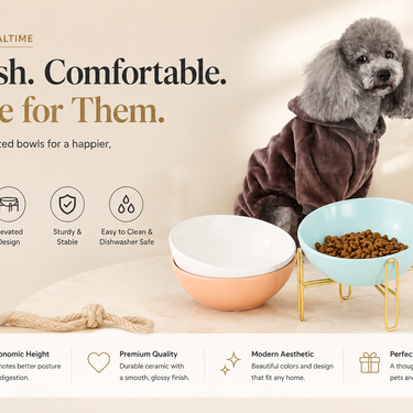 Pet Bowl Pet Supplies